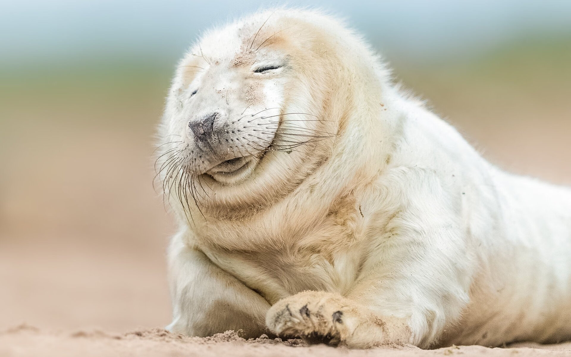 “西甲焦点对决：豪门对攻拼拼尽全力”，西甲豪门有哪些