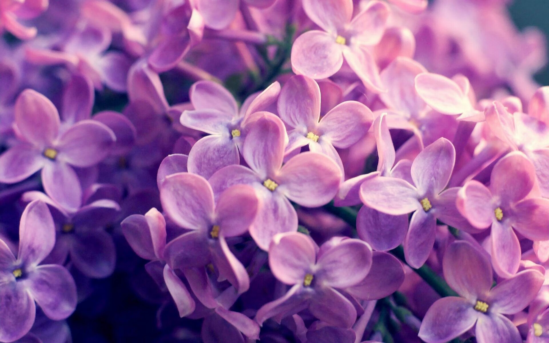 开云网站-【战术博弈】马克·塞尔比：用细节实现“铁壁”防守的秘诀，马克塞尔比的人生经历