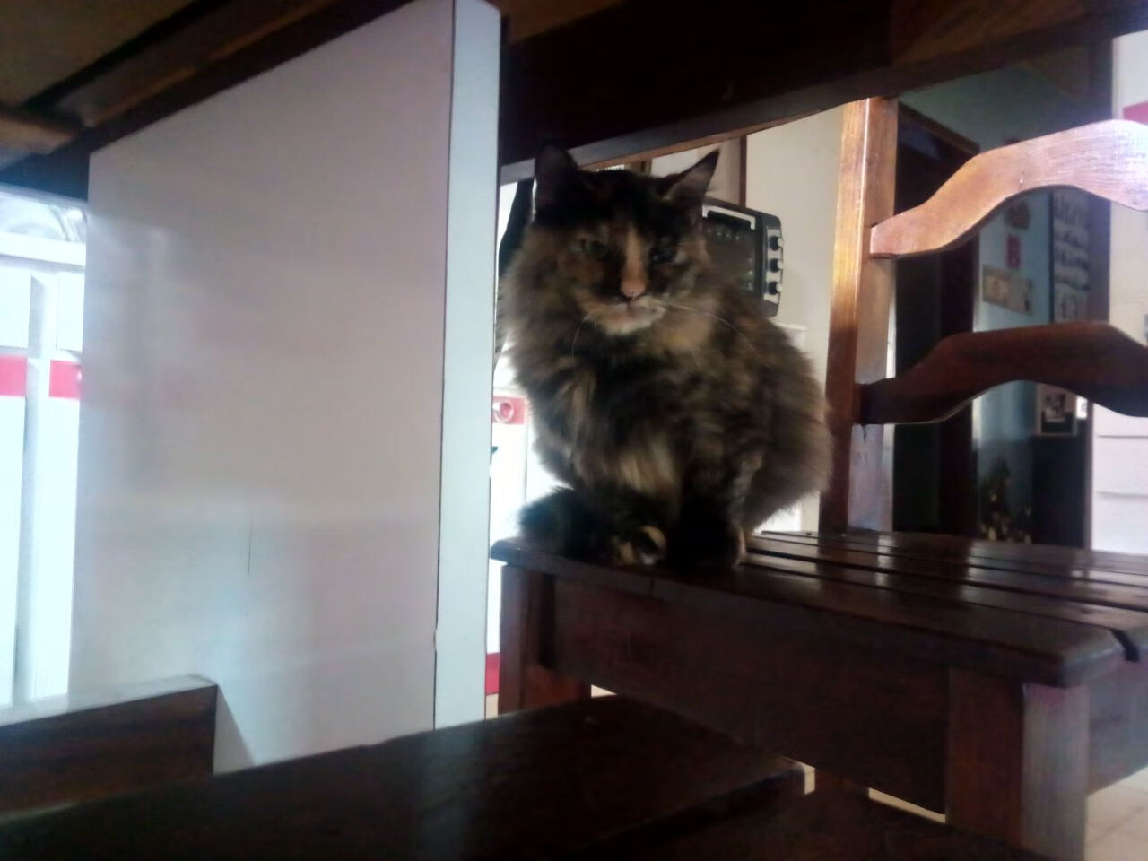 数字化青训案例推优,为行业提供创新示范路径,数字化创新青年