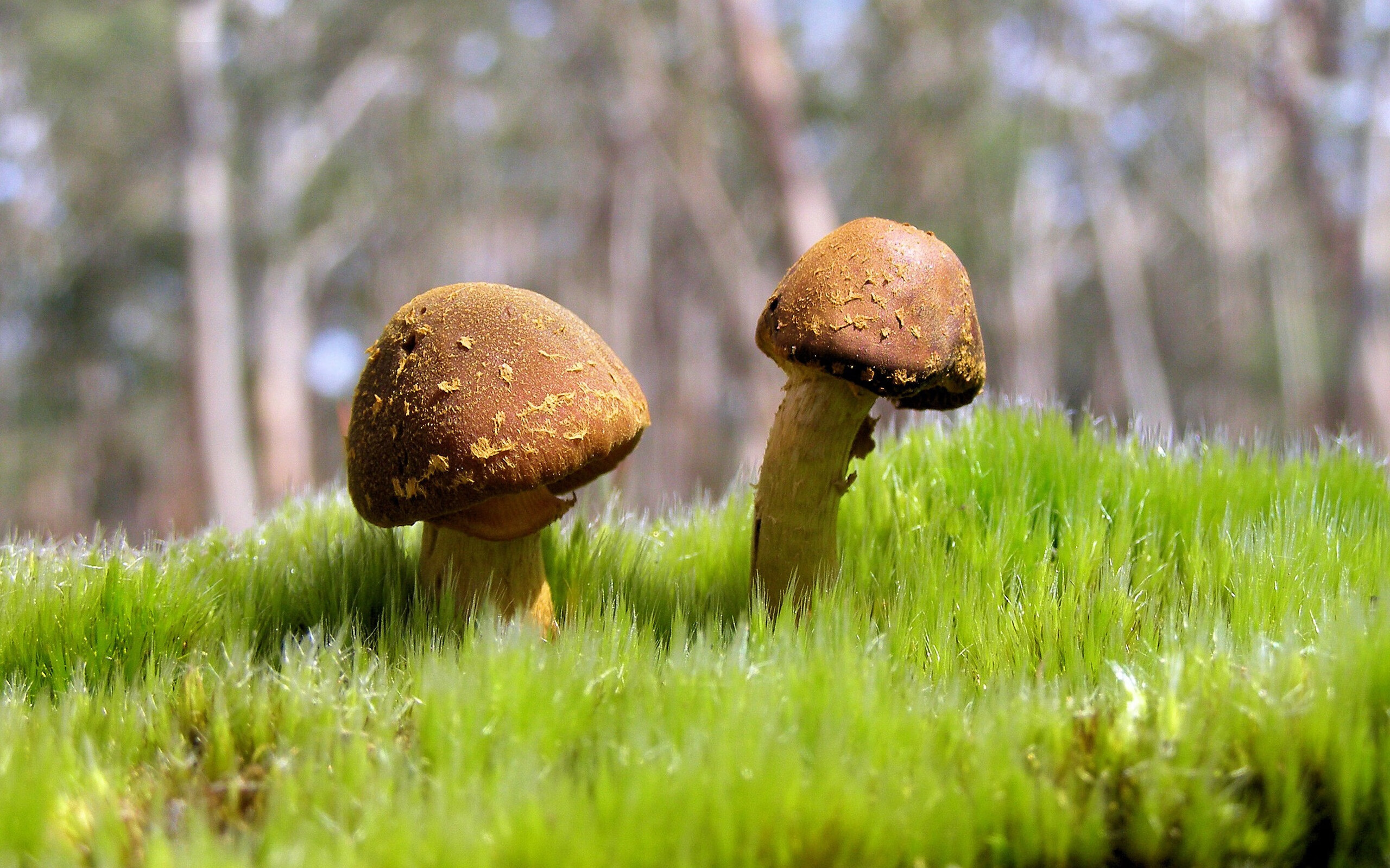 最后弯的决战:逆转胜利的经典瞬间,最后的逆袭阅读理解答案科幻小说