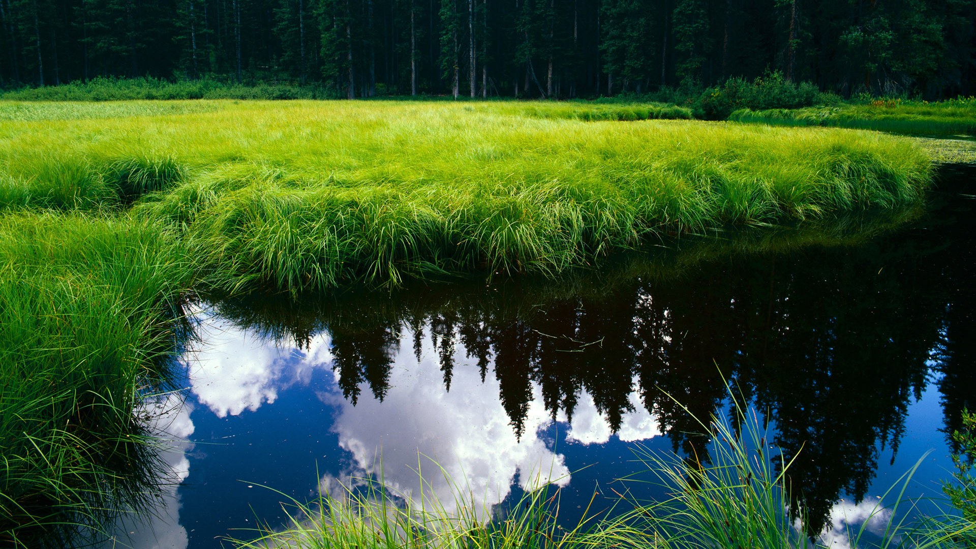 最佳快攻:速度与激情的极致演绎,最佳快乐gl