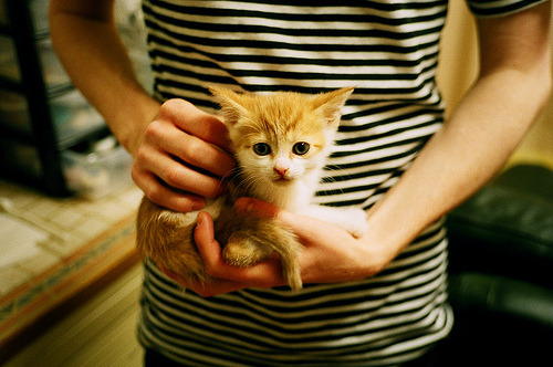 西甲“青春风暴”席卷赛场,球员精彩表现不断,足坛青春风暴