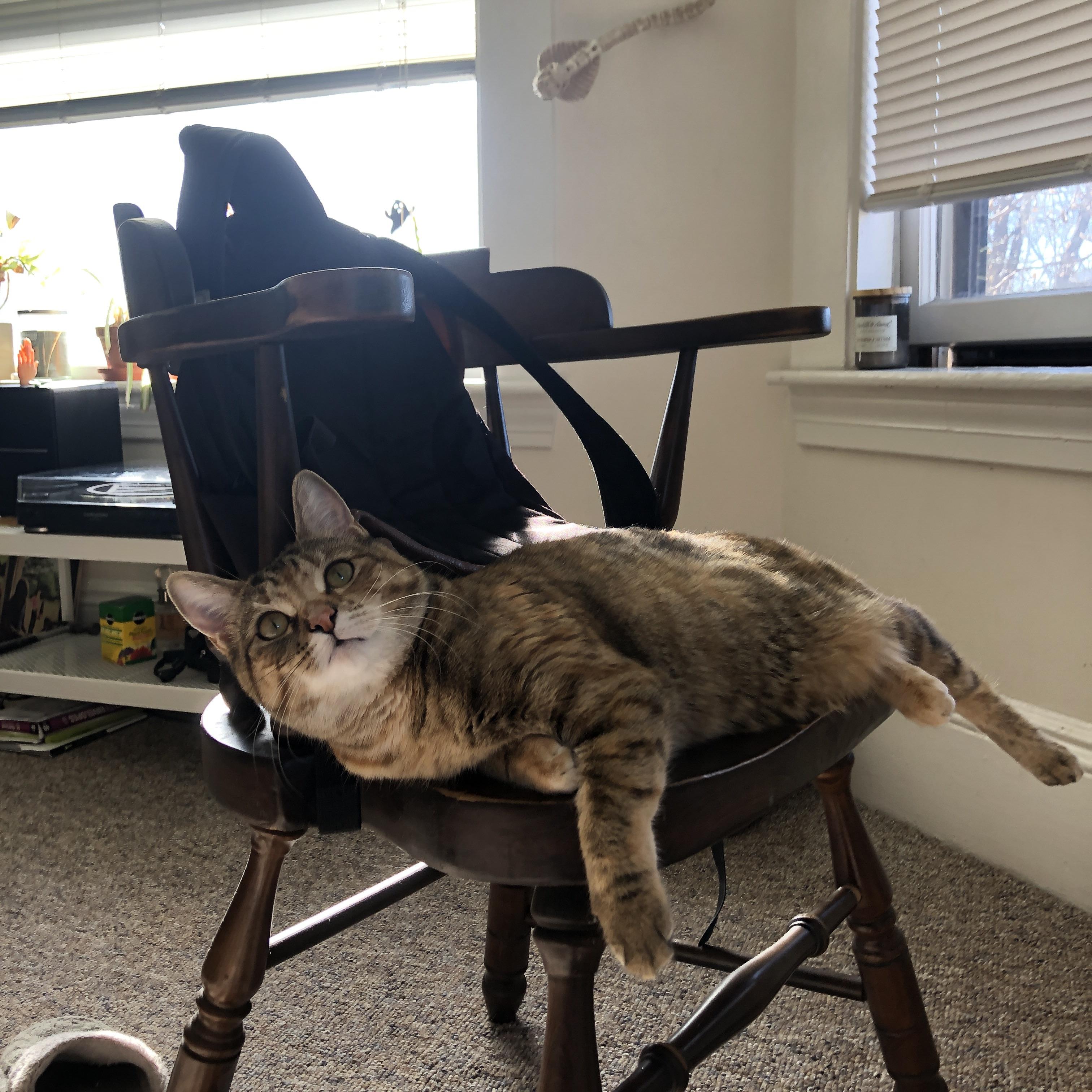 Kaiyun官方登录入口-逆境永不言败：球队在困境中展现的坚韧精神，在逆境中永不言败作文