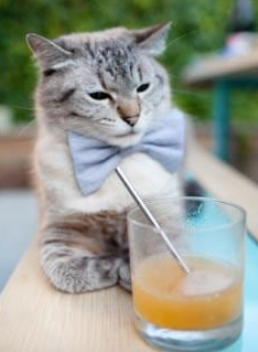 开云体育-青年才俊：法甲未来之星崭头角