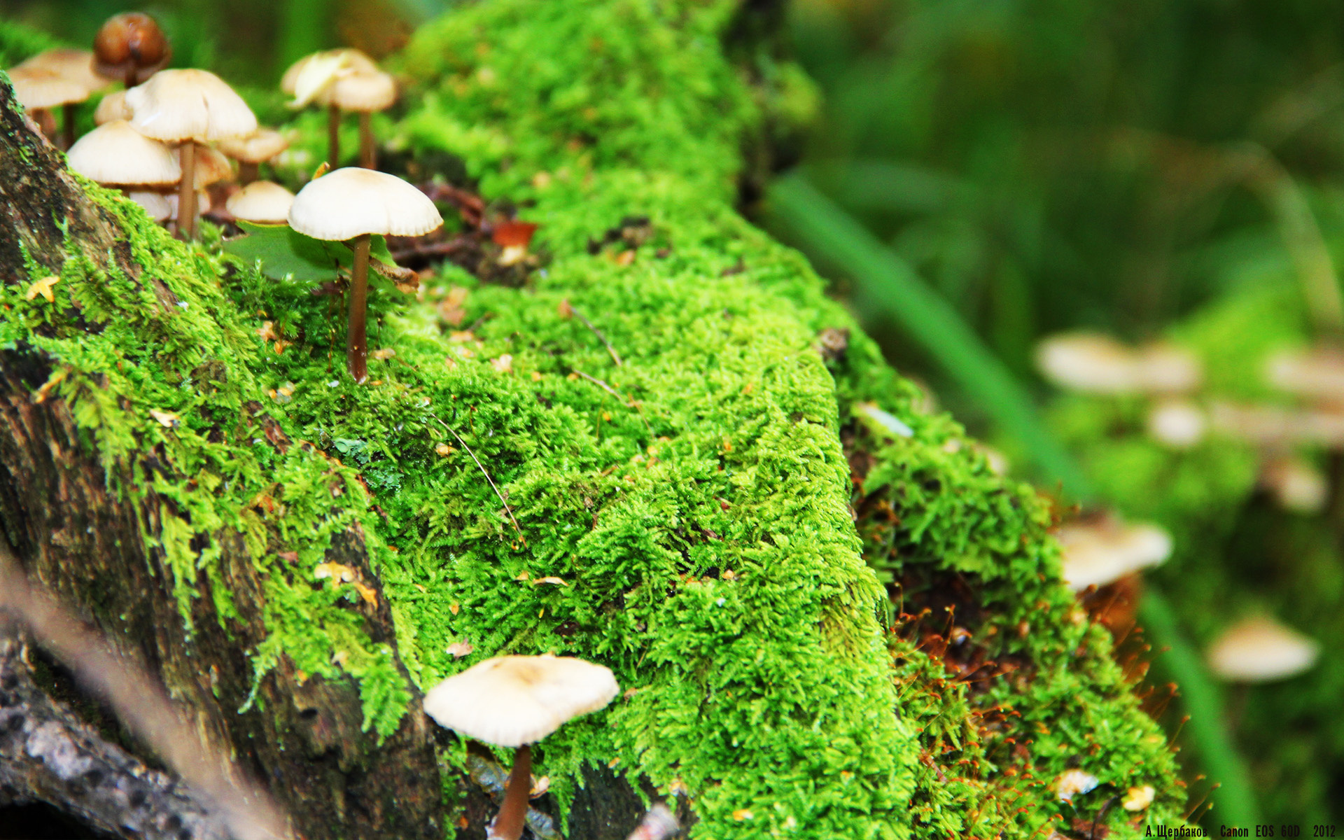 kaiyun登录入口-RNG完成新赛季体能适应性测试，rng训练赛