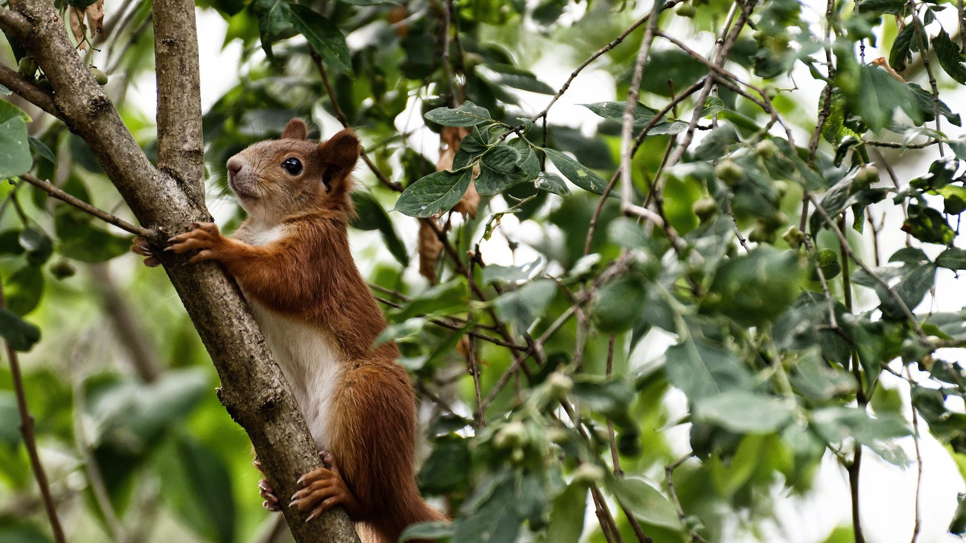 开云kaiyun-体育圈亮点：女子足球场上的巅峰表现！，女子足球赛的作用