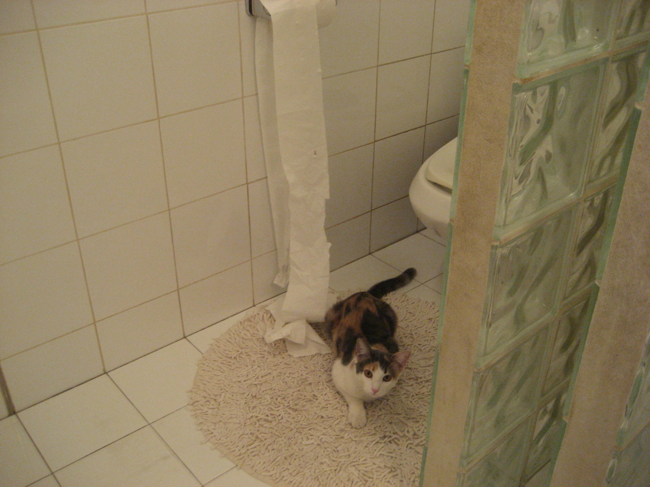 KAIYUNAPP-休斯顿太空人队进入世界大赛，休斯顿太空人投手