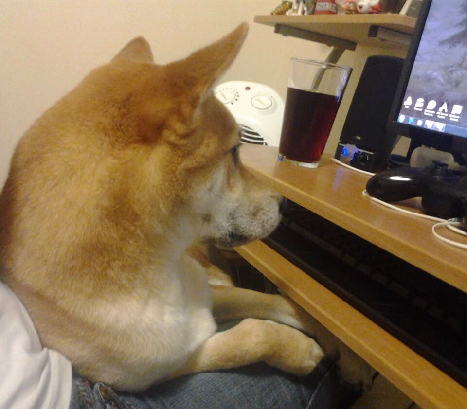 克罗地亚队在巴黎奥运会手球比赛中以28_30输给西班牙队,克罗地亚队2018